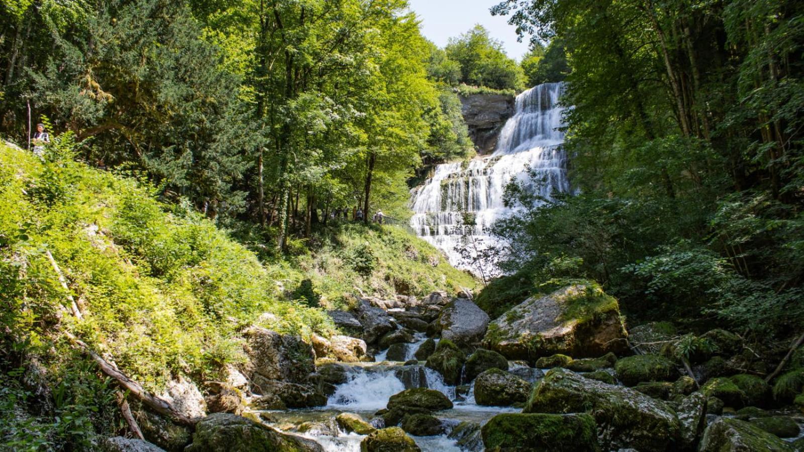 T2 Cosy Au Coeur Du Haut-Jura, Parking Gratuit Apartment Morbier Exterior photo